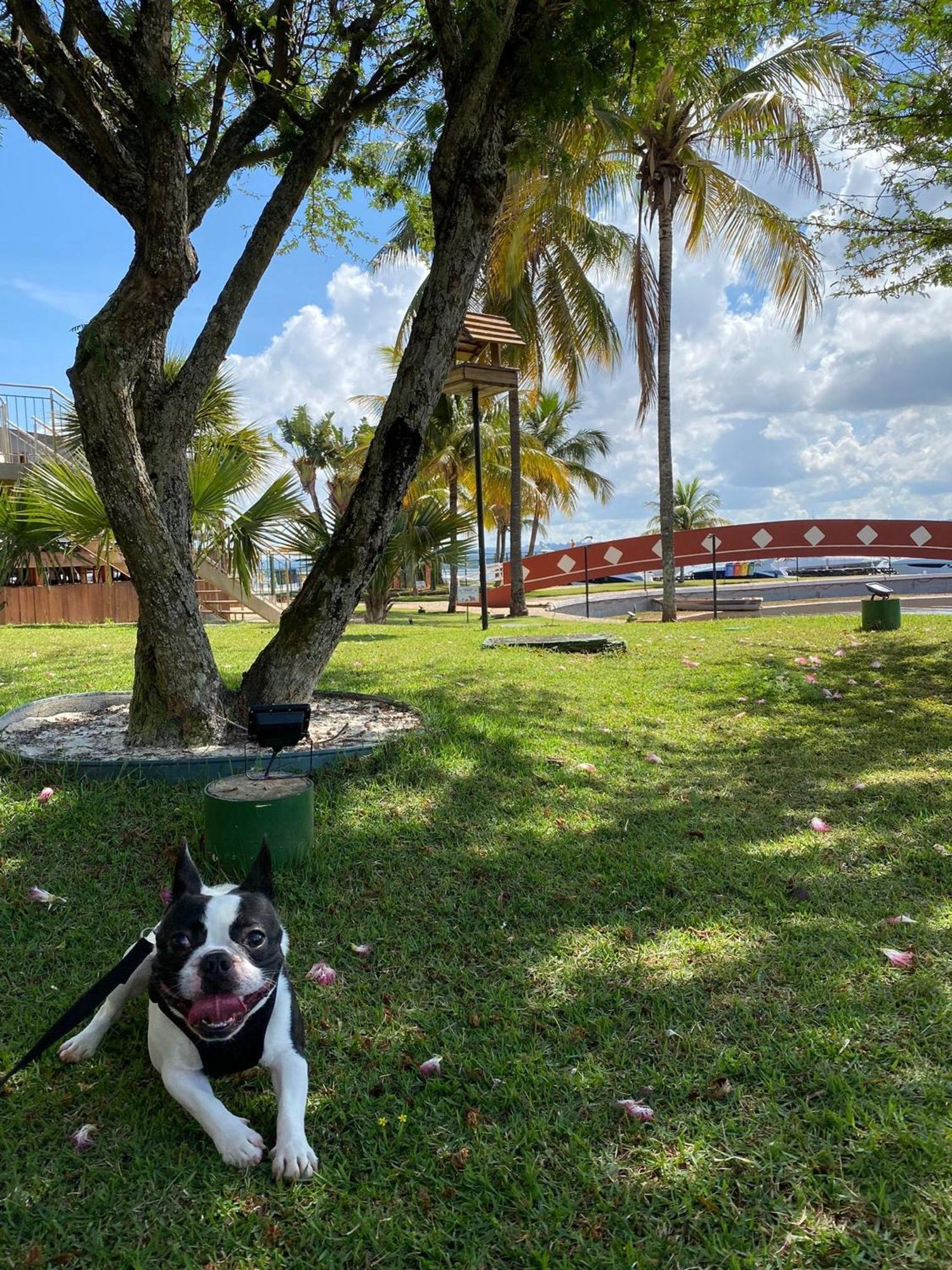 Flat Beira Lago No Centro De Bsb Brasília Ngoại thất bức ảnh